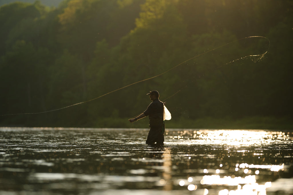 Twilight Casting in Livingston Manor
